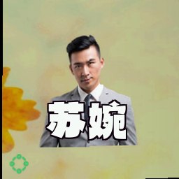 苏婉